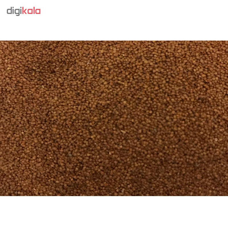 بذر چمن آکواریوم کد 02 بسته 2 عددی