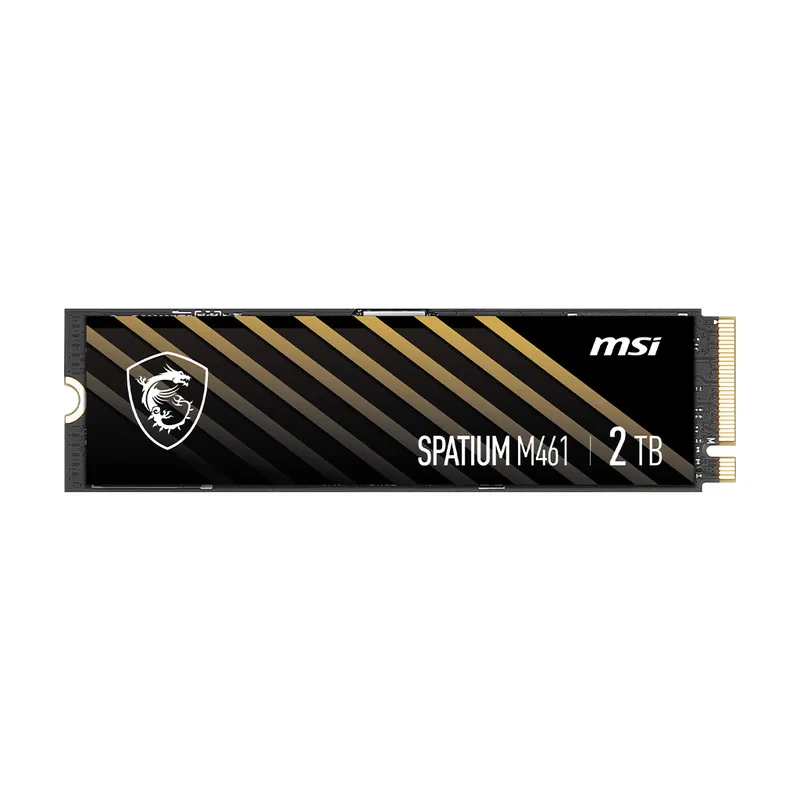 اس اس دی اینترنال PCIe Gen4 x4 ام اس آی مدل M461 ظرفیت 2 ترابایت