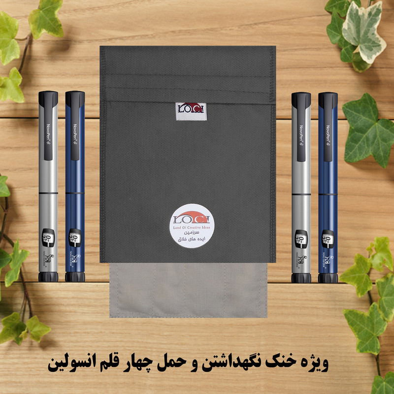 کیف خنک نگهدارنده انسولین لوک آی مدل 4 قلم کد 01 مجموعه 2 عددی