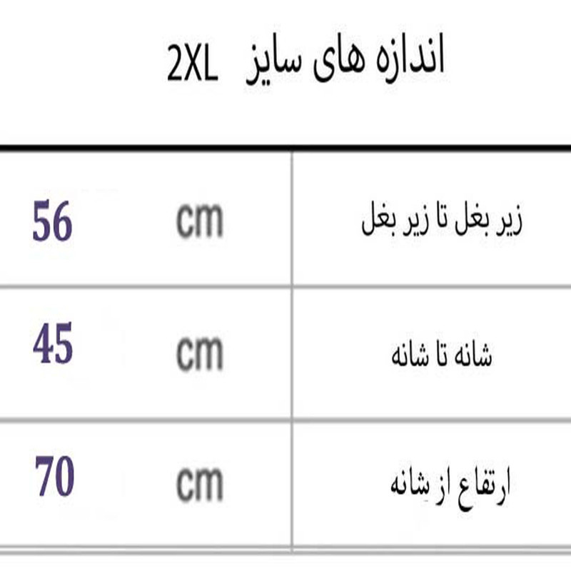 پافرمردانه مدل FR کد M2655