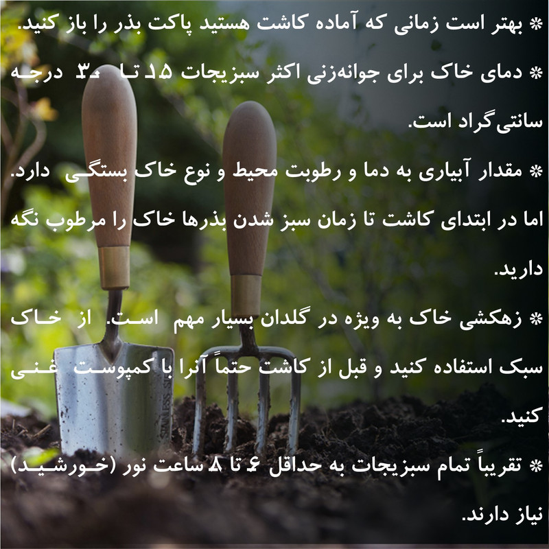 بذر سبزیجات گرین سیدز کد 2005 مجموعه 10 عددی