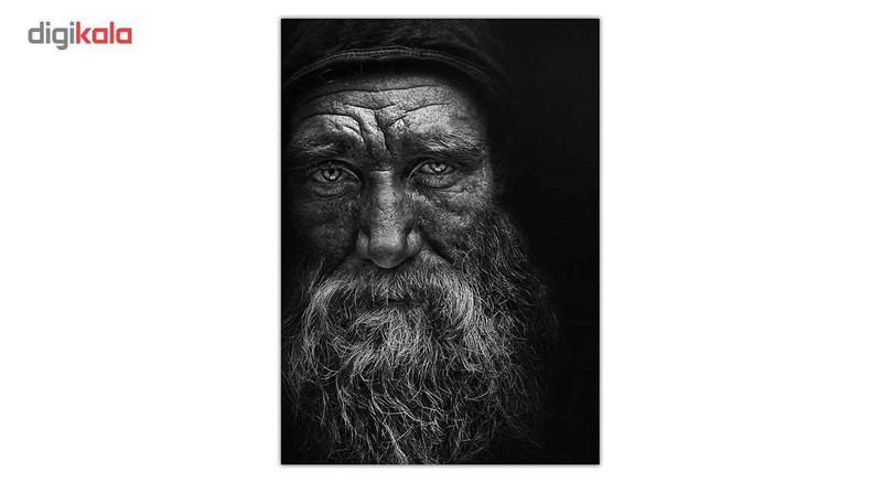 تابلو شاسی ونسونی طرح Stare To The Death سایز 30x40 سانتی متر