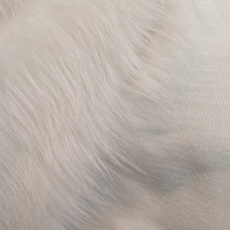 فرش ماشینی آقای طرح مدل oval