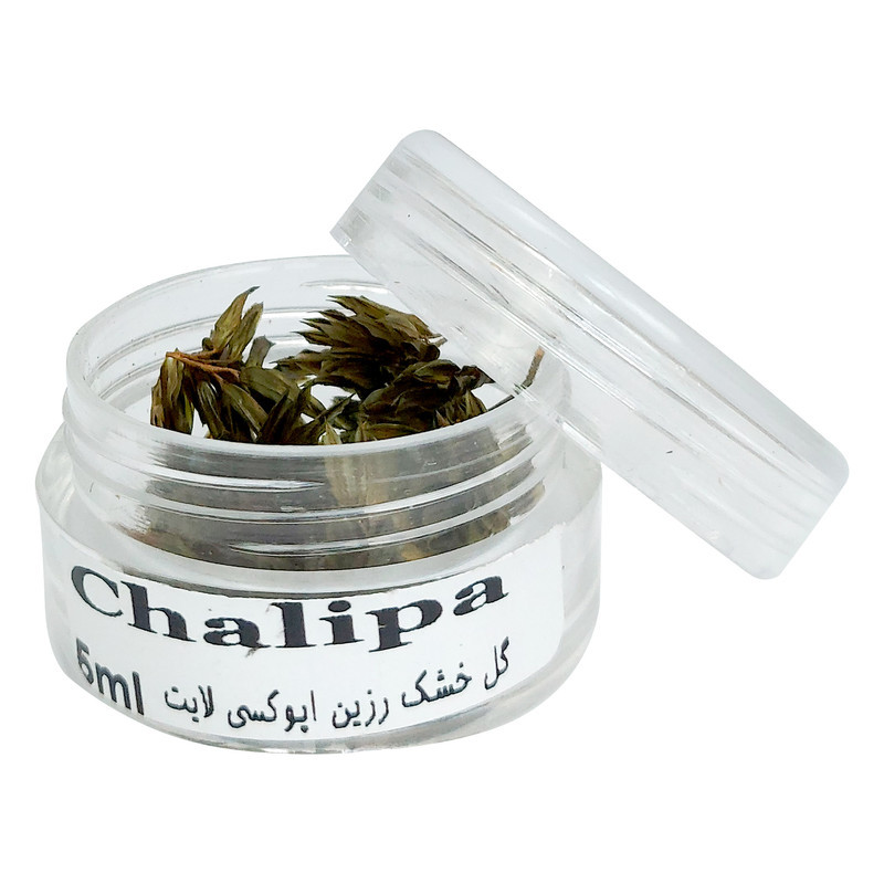 گل خشک لایت چلیپا مدل رزین اپوکسی وزن 5 گرم