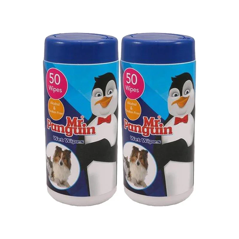 دستمال مرطوب سگ و گربه مدل Wet wipes بسته 2 عددی