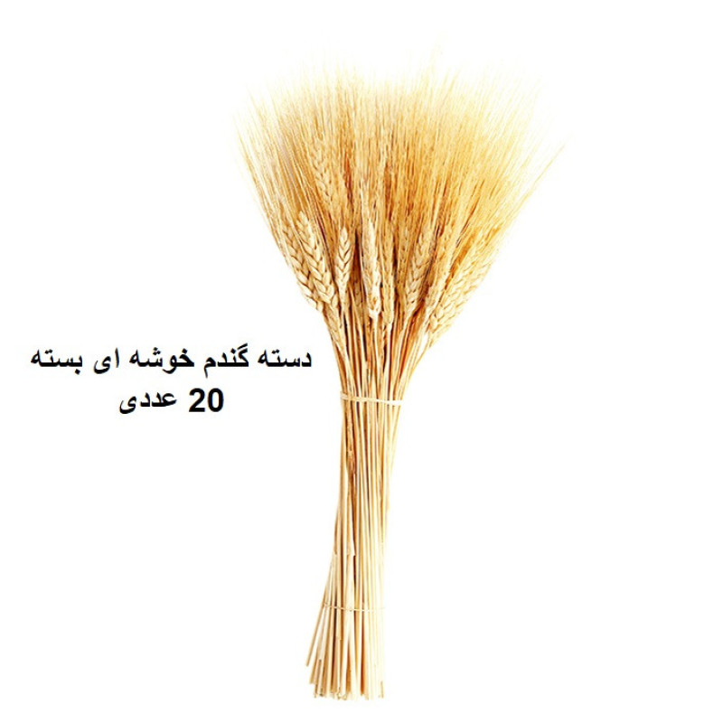 دسته گل خشک مدل خوشه گندم کد 20