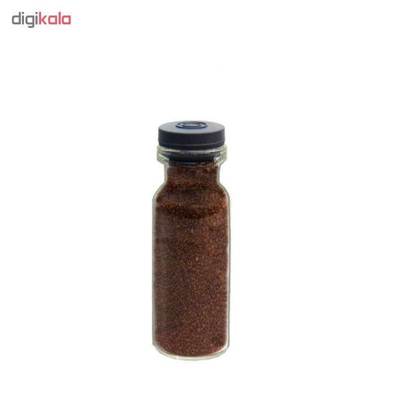 بذر چمن آکواریوم کد 02 بسته 2 عددی