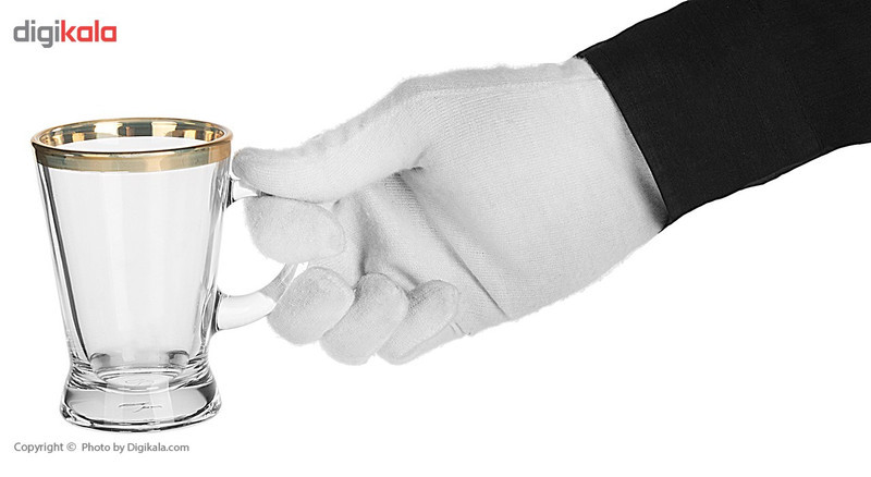 استکان پاشاباغچه سری هیبلی کد 55073 بسته 6 عددی
