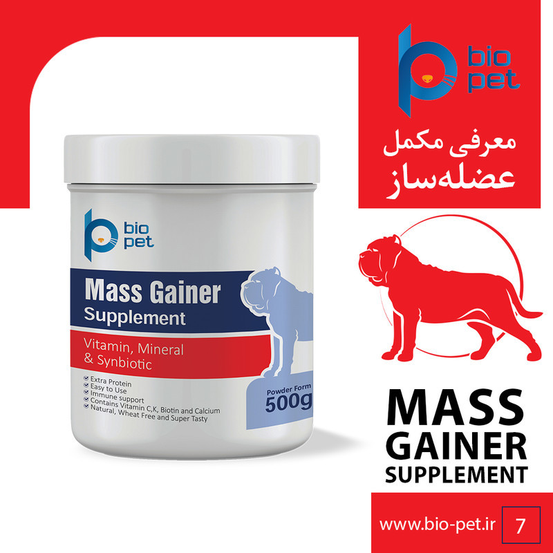 پودر مکمل سگ بایو پت مدل عضله‌ساز Mass Gainer وزن 400 گرم