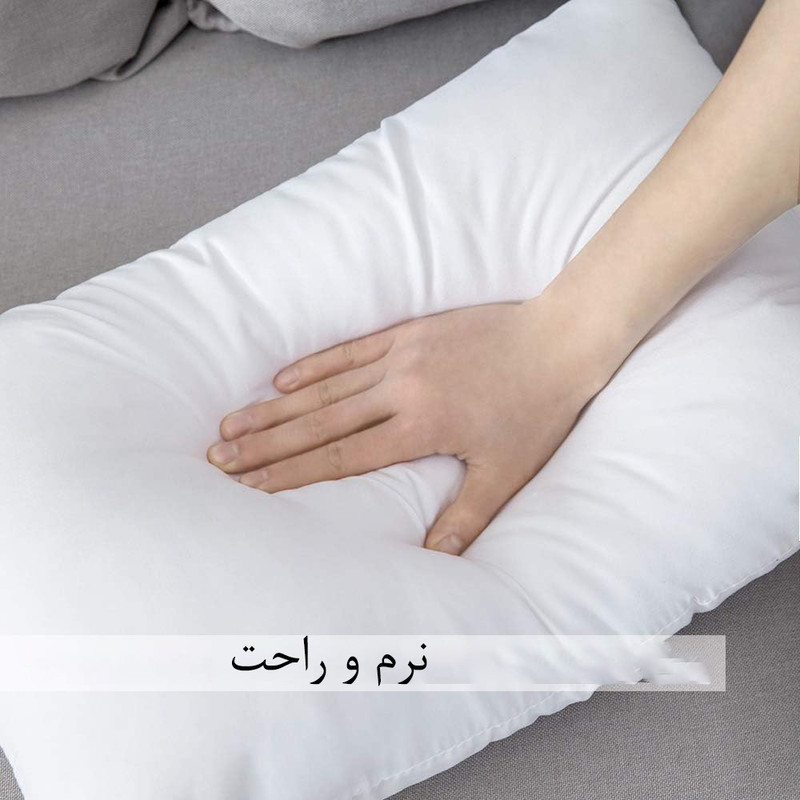 بالش گالتکس مدل اقتصادی