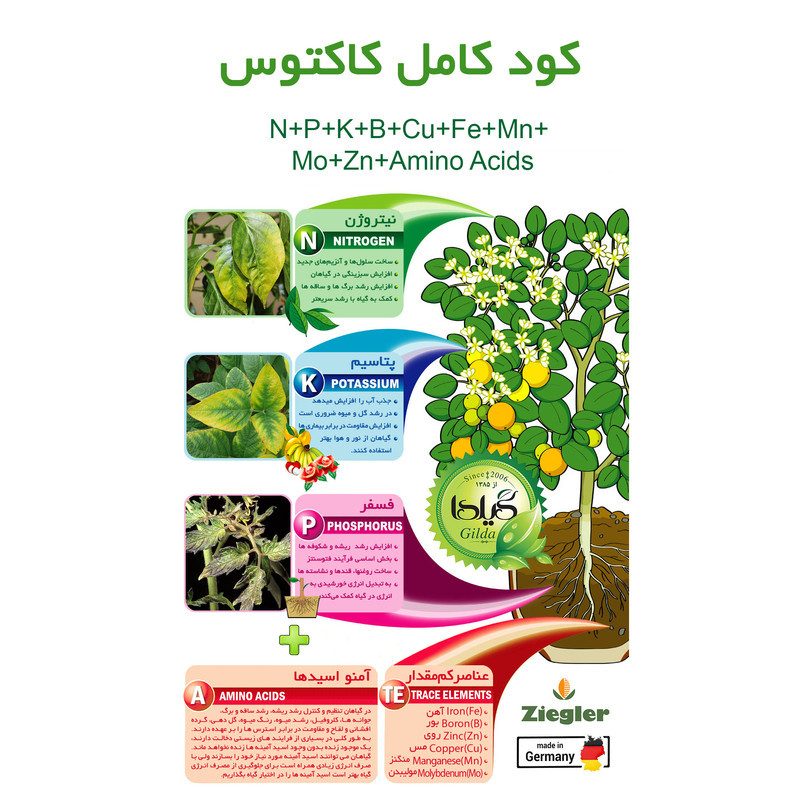 کود کامل کاکتوس گیلدا مدل NPK وزن 25 گرم