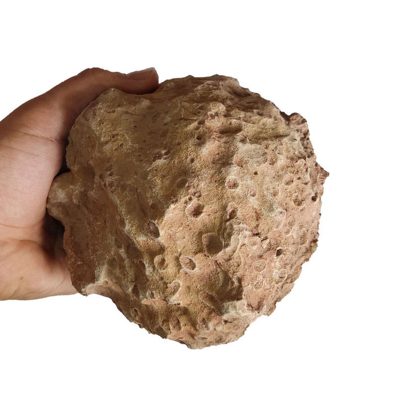 سنگ راف مرجانی مدل s1