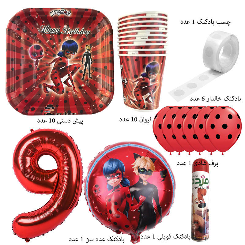 مجموعه 30 عددی تم تولد مستر تم طرح دختر کفشدوزک پلاس کد 9
