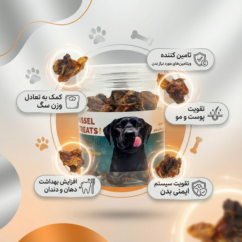 تشویقی سگ سنگدان با طعم مرغ ۶۰ گرم