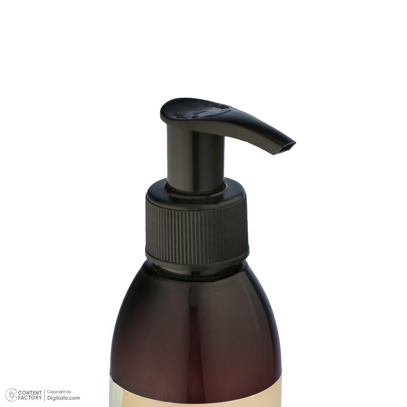 ماسک مو سالومه مدل Argan-Oil مناسب موهای خشک و آسیب دیده حجم 250 میلی لیتر