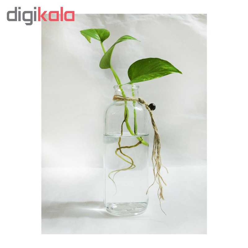 گلدان شیشه‌ای مدل 1G1-3 مناسب ویال، جنس شیشه، ابعاد 18×6×6 سانتی‌متر، وزن 300 گرم