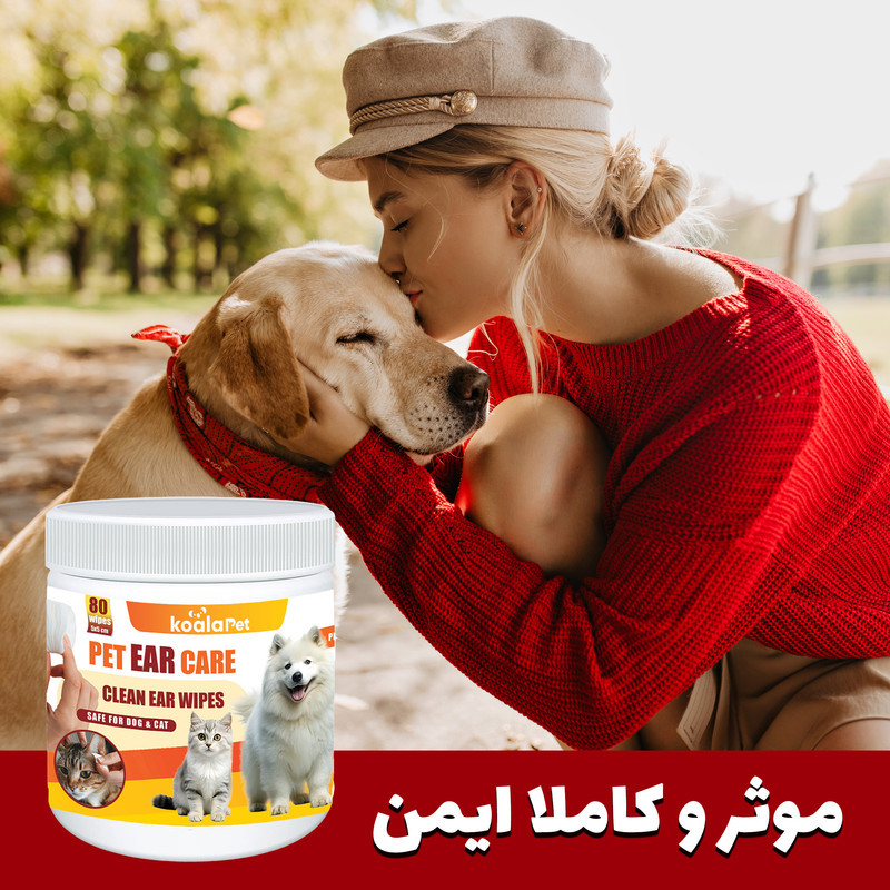 دستمال مرطوب گوش سگ و گربه کوالاپت مدل Ear wipes01 بسته 80 عددی