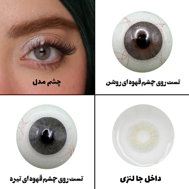 لنز چشم رویال ویژن مدل VEGAS PEARL کد07  رنگ طوسی روشن بدون دور