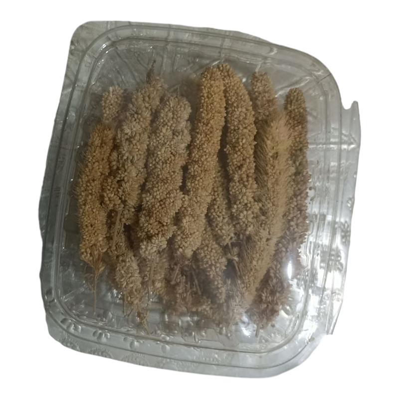 غذای پرندگان مدل ارزن خوشه ای ریز کد 08 بسته 30 عددی