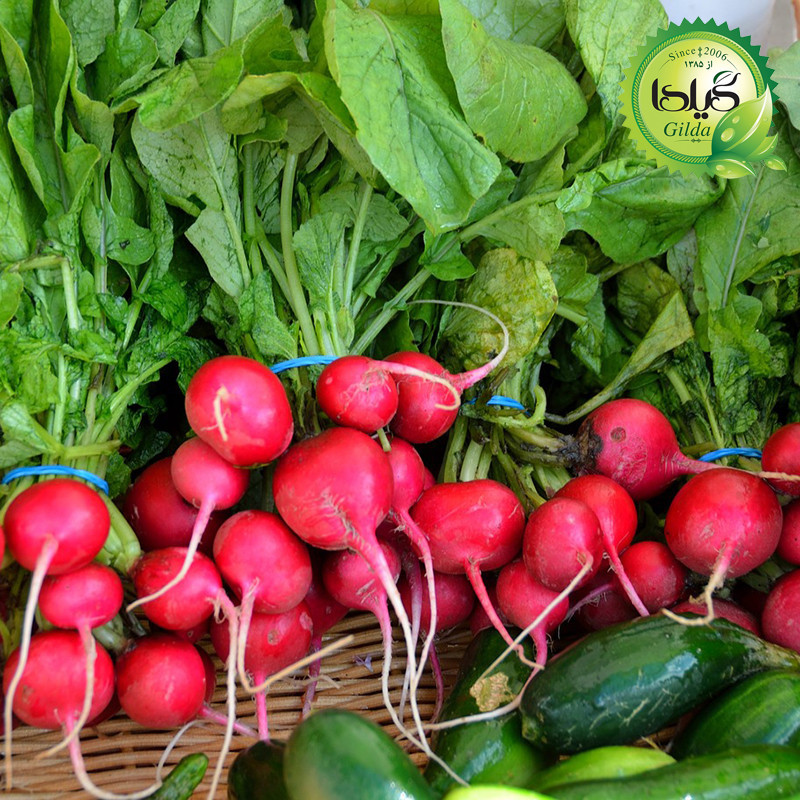 بذر سبزی خوردن گیلدا کد 097 مجموعه 10 عددی