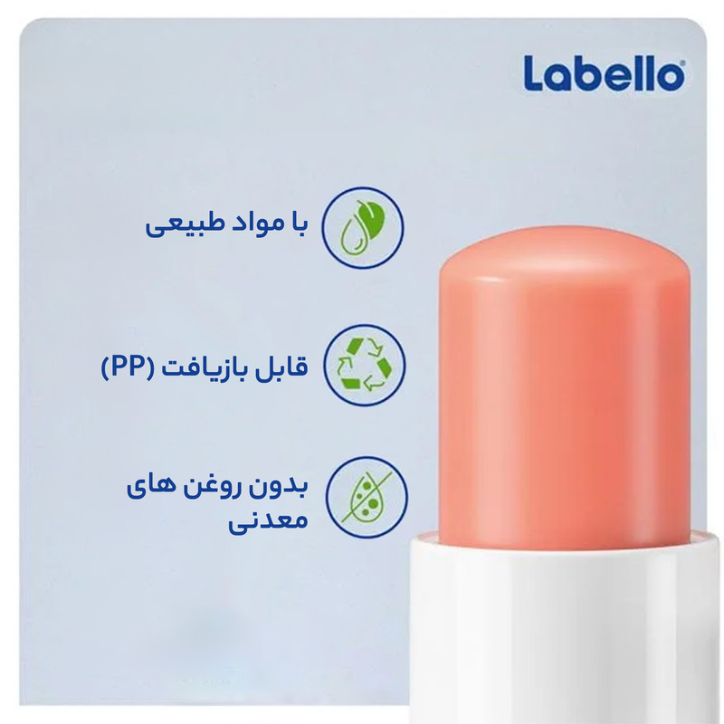بالم لب لابلو مدل dsrsd کد 45 مجموعه دو عددی