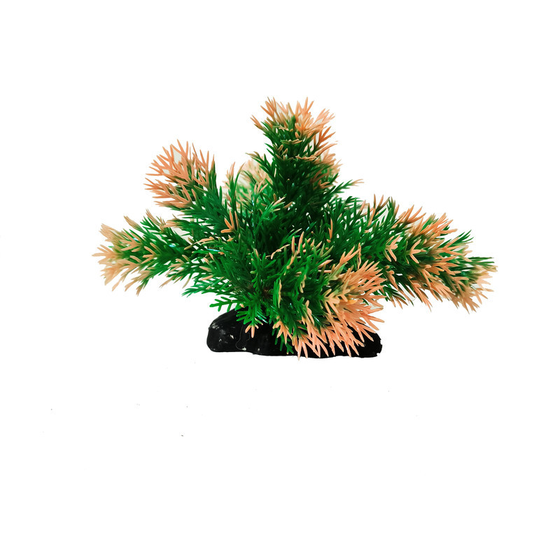 گیاه تزیینی آکواریوم کد VB08 مجموعه 5 عددی