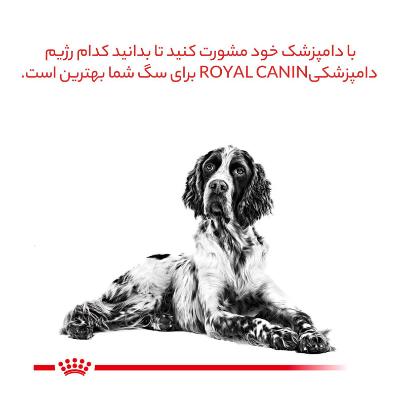 غذای خشک سگ رویال کنین مدل Hypoallergenic ضد حساسیت وزن 2 کیلوگرم