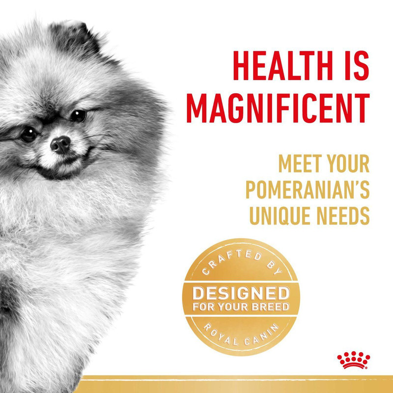 غذا خشک سگ رویال کنین مدل pomeranian وزن 3 کیلوگرم
