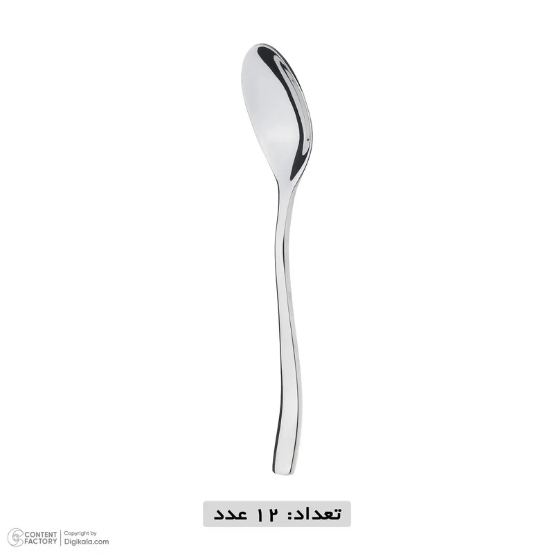 قاشق چای‌خوری ام‌جی‌اس مدل 020s مجموعه 12 عددی