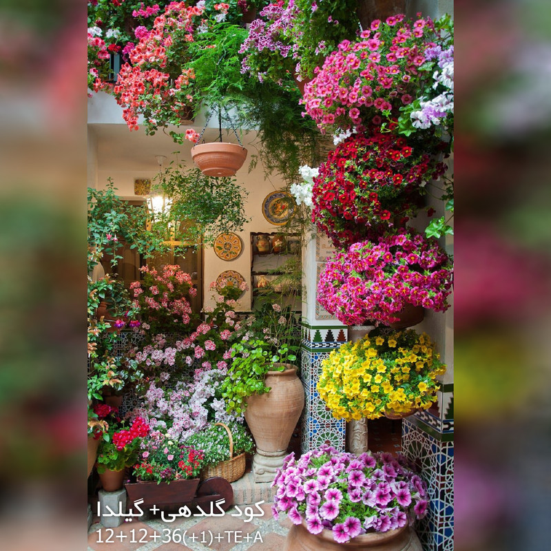 کود مایع کامل گلدهی گیلدا مدل پتاسیم بالا حجم 120 میلی لیتر