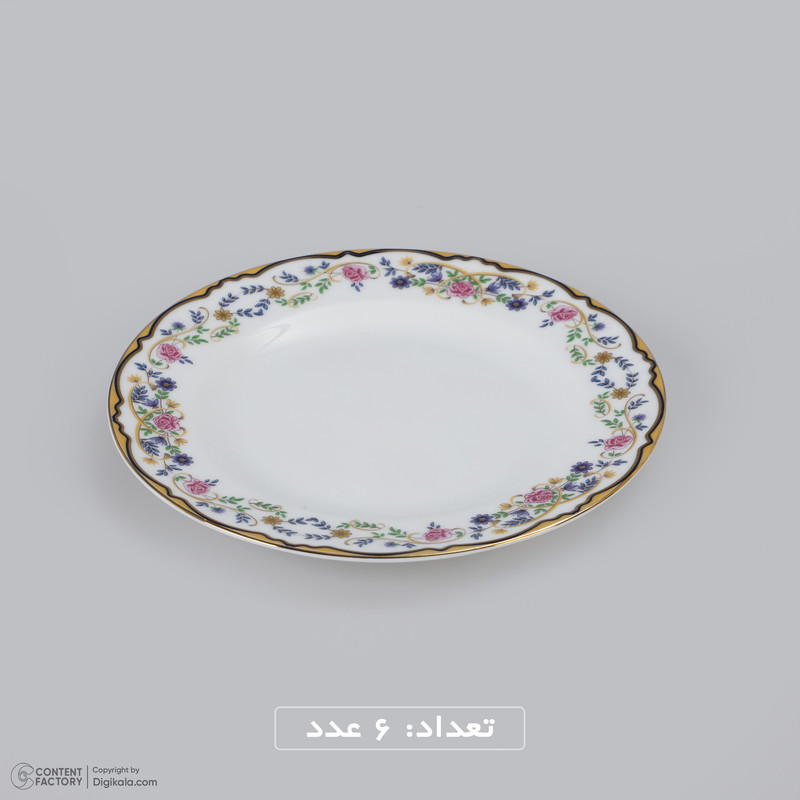 سرویس  غذا خوری 28 پارچه چینی زرین ایران سری ایتالیا اف مدل Golestan 2 درجه عالی