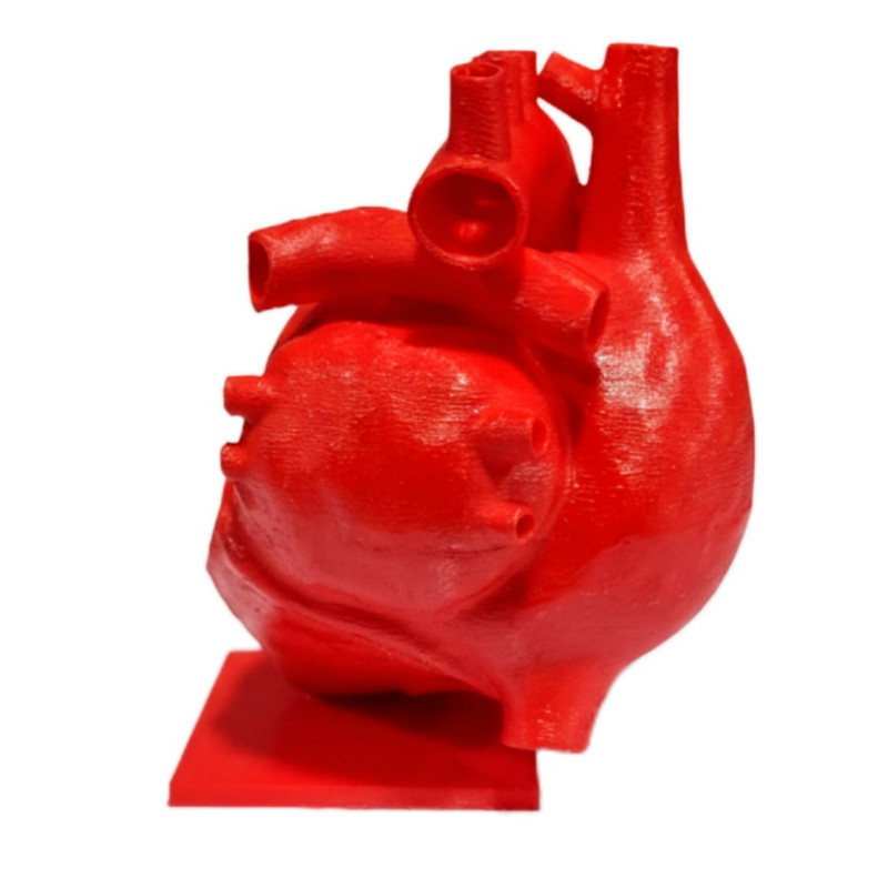 دکوری مدل قلب آناتومی