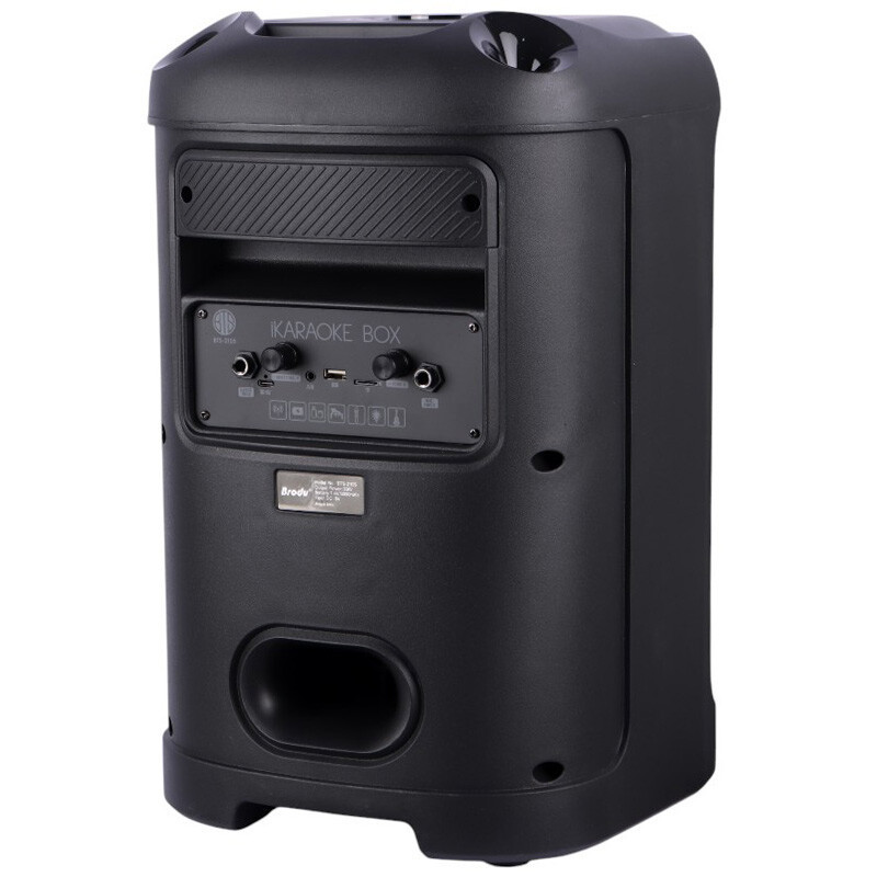 اسپیکر بلوتوثی قابل حمل برودو مدل BTS-2105