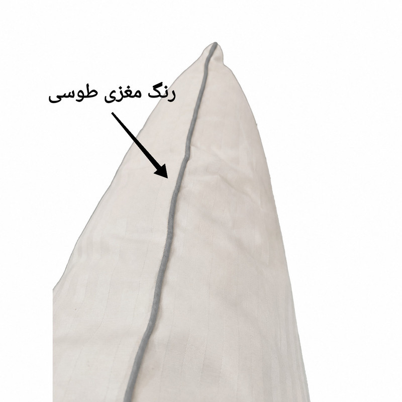 بالش ایران لحاف تیراژه مدل هتلی آیسل سایز 50×70 سانتی متر