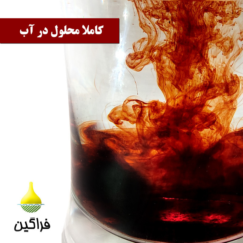 كود آهن پودری 6% کلات فراگین مدل سکوسترن وزن 1000 گرم