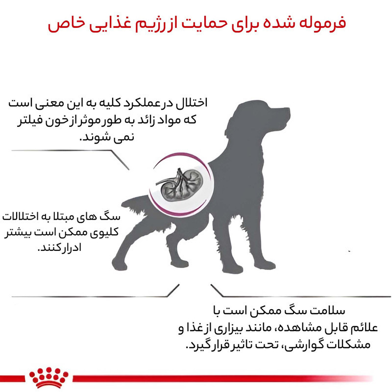 غذای خشک سگ رویال کنین مدل رنال وزن 2 کیلوگرم