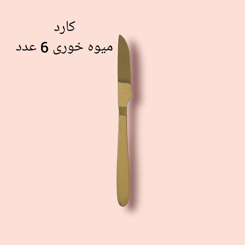 سرویس قاشق و چنگال 60 پارچه مدل دونا کد 351