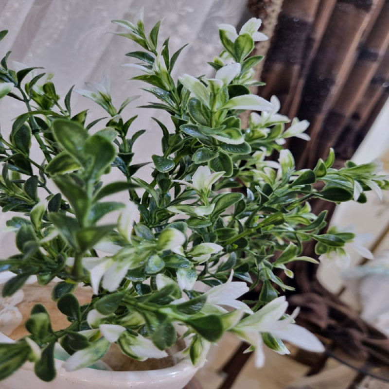 گل مصنوعی بوته اناری پلاستیکی با 6 شاخه پر برگ، ابعاد 15×15×34 سانتی‌متر و وزن 50 گرم