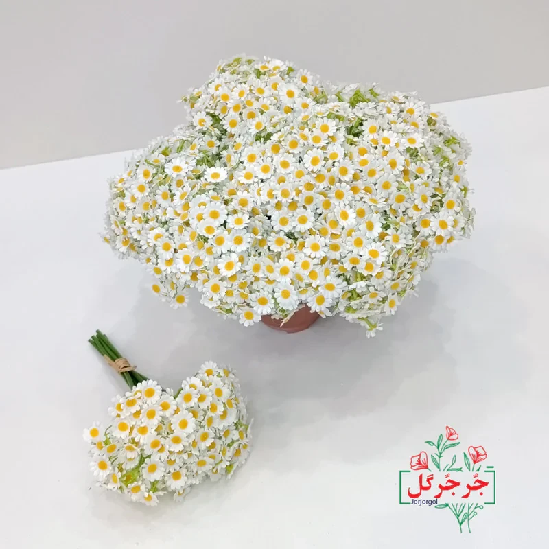دسته گل مصنوعی بابونه جُرجُرگل مدل 7 شاخه با طراحی طبیعی، الیاف مقاوم در برابر نور و رطوبت، مناسب دکوراسیون رومیزی و فضای باز، ارتفاع 30 سانتی‌متر، قابل استفاده در مراسم و هدیه ماندگار