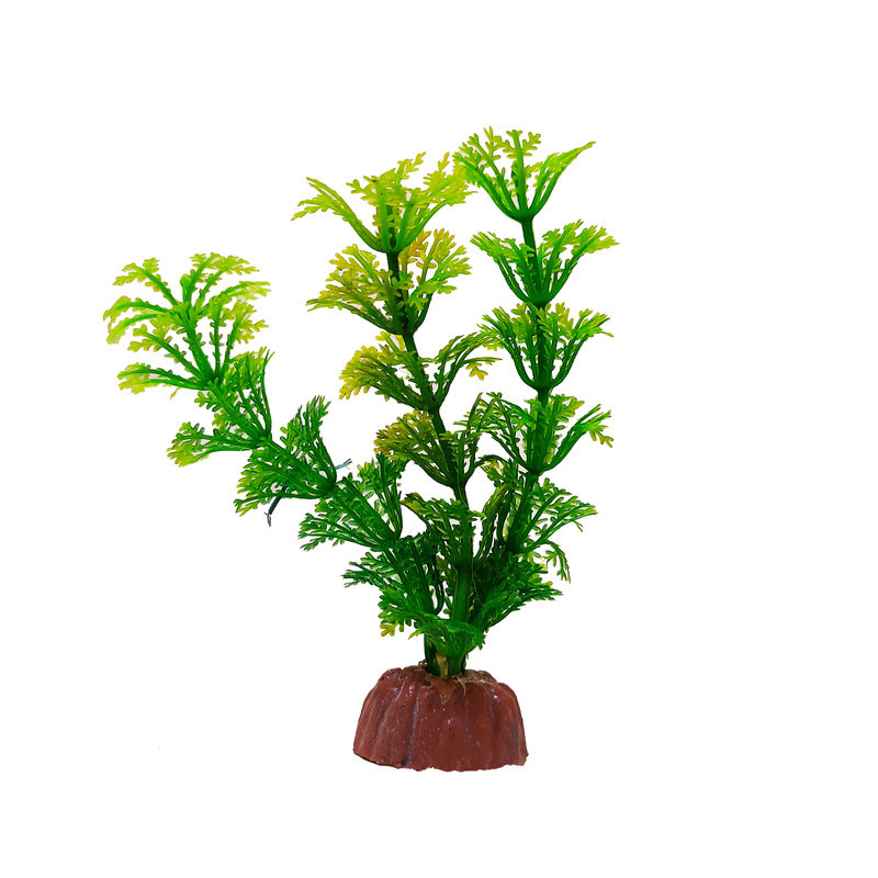 گیاه تزیینی آکواریوم کد 051 بسته 3 عددی