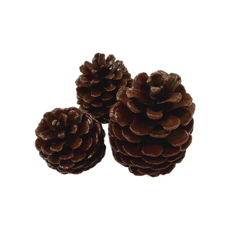دکوری مدل کاج شنی مجموعه 3 عددی