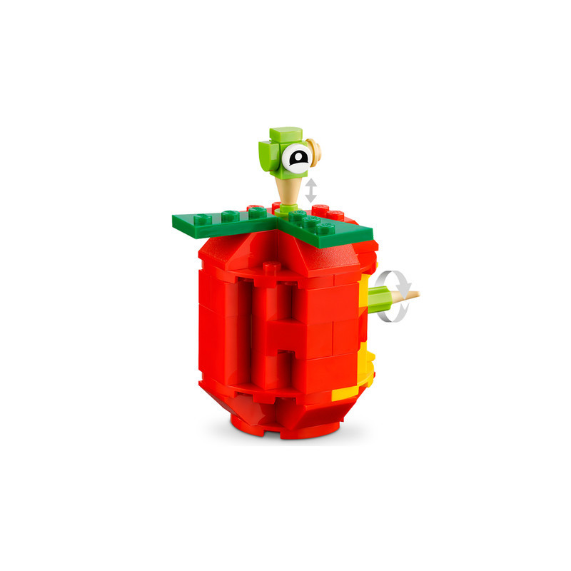 لگو مدل LEGO Classic Bricks and Functions 11019
