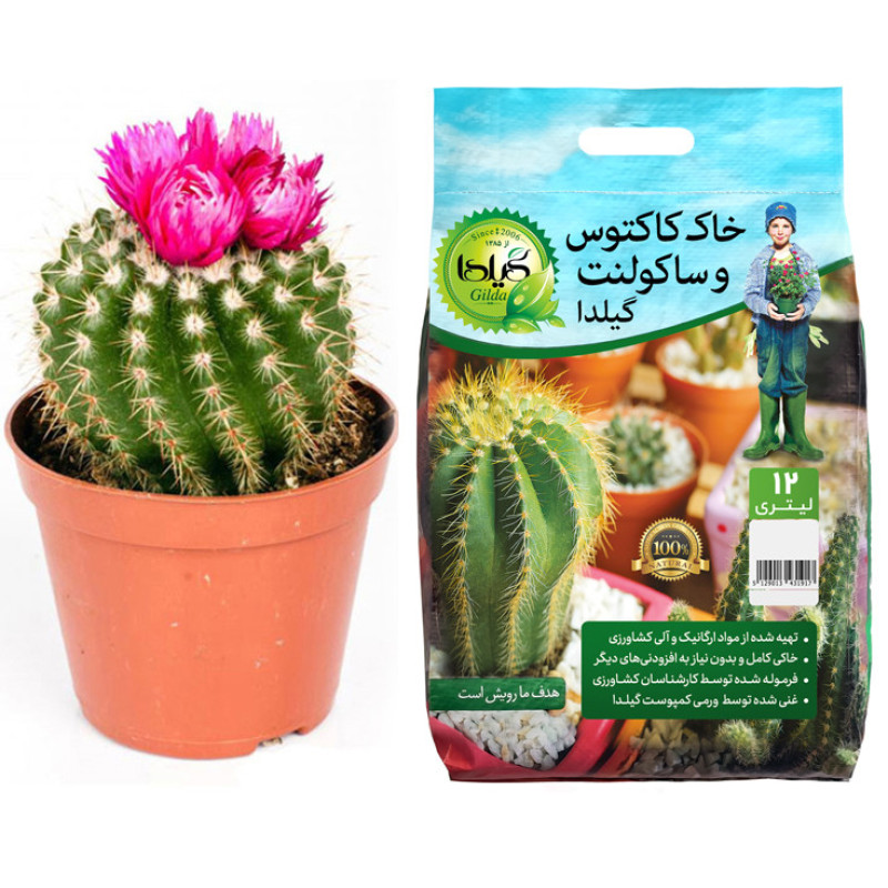خاک کاکتوس و ساکولنت گیلدا مدل GC12L حجم 12 لیتر
