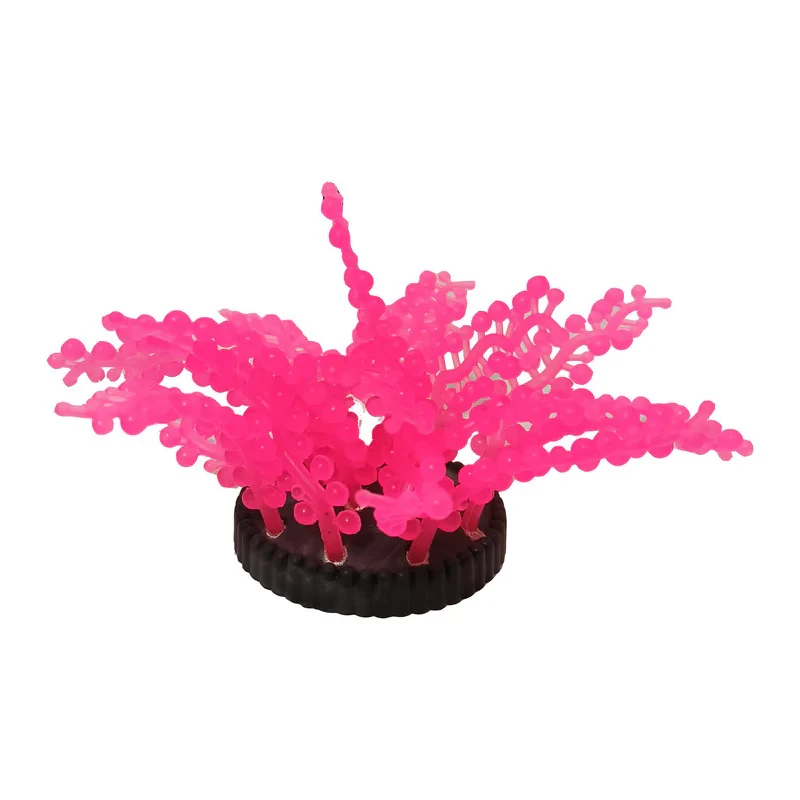 گیاه تزیینی آکواریوم مدل ژله ای کد ZH05