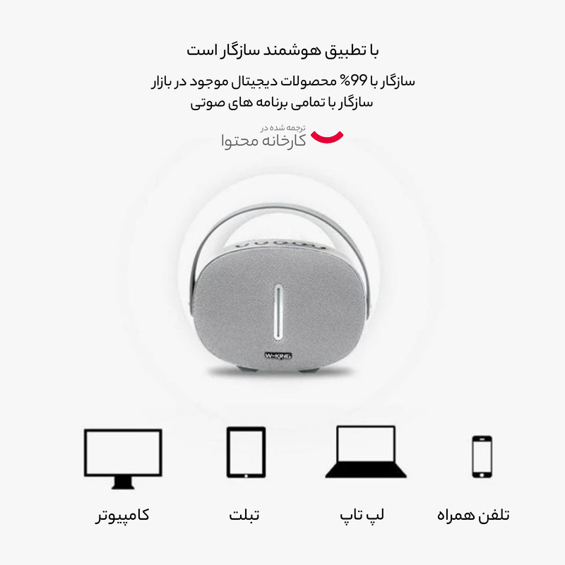 اسپیکر بلوتوثی قابل حمل دبلیو-کینگ مدل T8