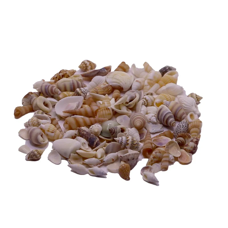 صدف تزیینی مدل صدف مینیاتوری مدل kh226 وزن 24 گرم