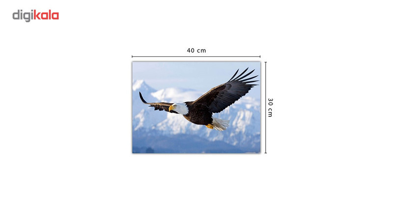 تابلو شاسی ونسونی طرح Flying Eagle سایز 30x40 سانتی متر