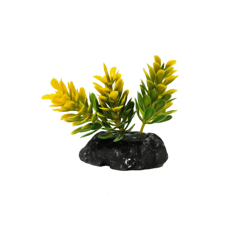 گیاه تزیینی آکواریوم کد VB09 مجموعه 10 عددی
