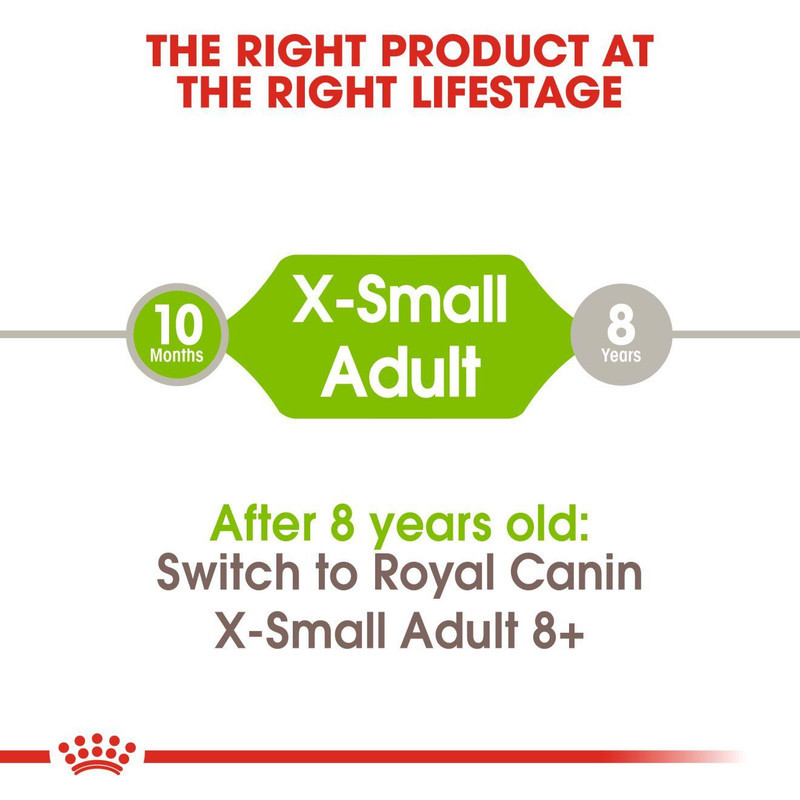 غذای خشک رویال کنین مدل x-small adult وزن 1.5 کیلوگرم