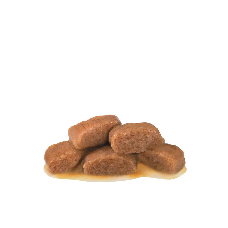 غذا خشک گربه رویال کنین مدل Gastrointestinal وزن 2 کیلوگرم به همراه بستنی گربه